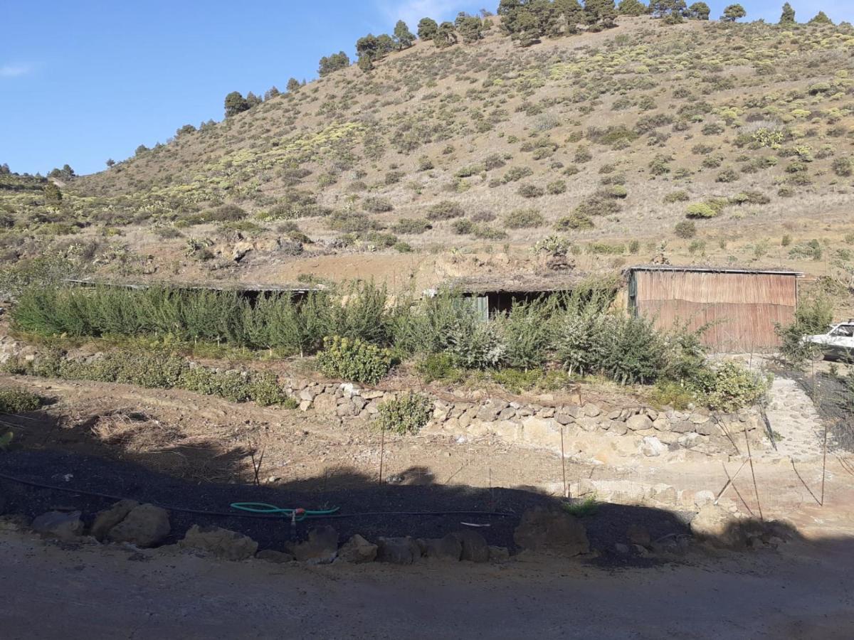 Casa Rural Los Santillos El Pinar  المظهر الخارجي الصورة