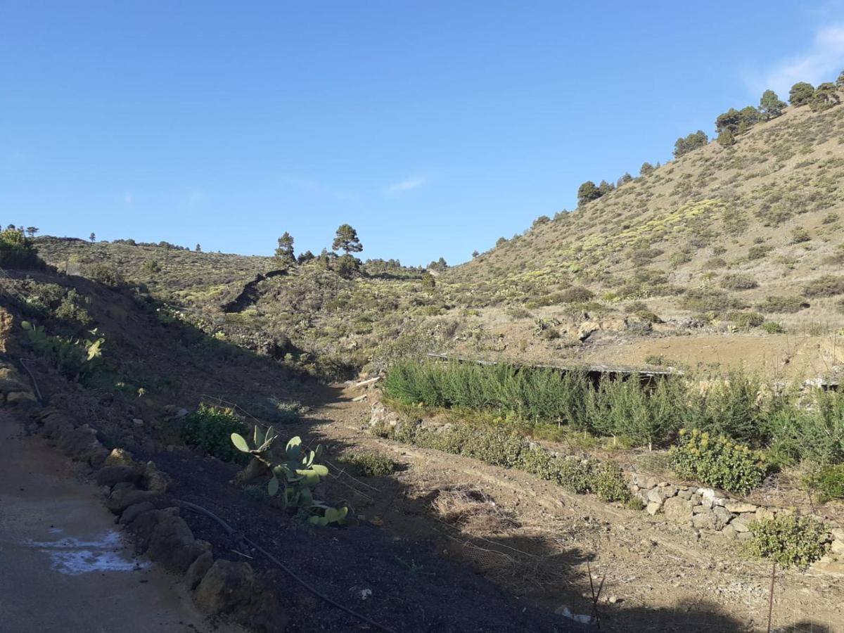 Casa Rural Los Santillos El Pinar  المظهر الخارجي الصورة